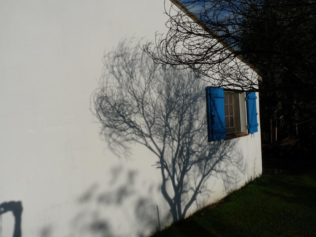 Bergerie D'Alivon En Camargue Bed & Breakfast Albaron Bagian luar foto